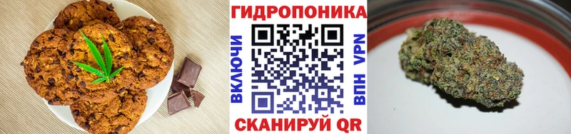 купить наркотик  Железногорск-Илимский  Canna-Cookies конопля 