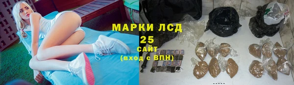 гидропоника Алзамай