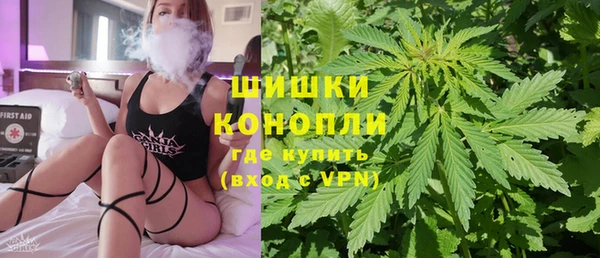 гидропоника Алзамай