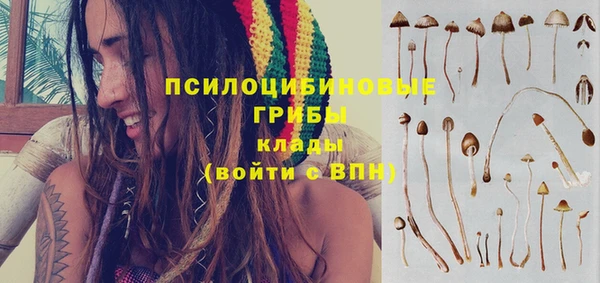 прущая мука Алексин